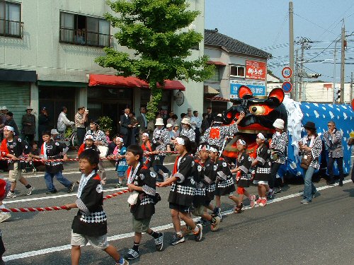 The Sakata festival also happens in May. The main event is a parade centred around these lions. Babies are put in the mouth and the jaw is slammed three times. Apparently this should bring good luck to the child.