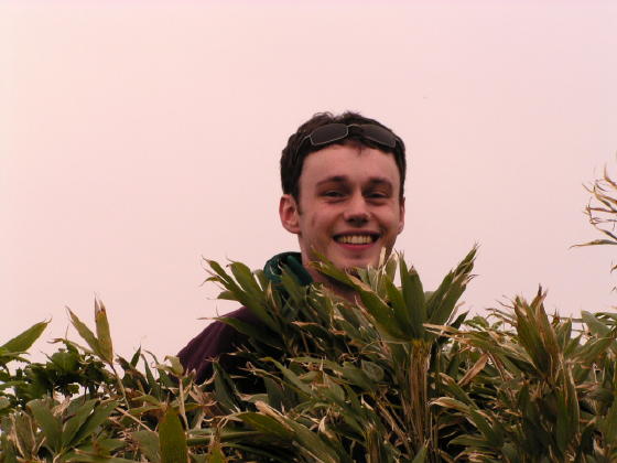 Tom gets lost in the bushes up Mount Chokai