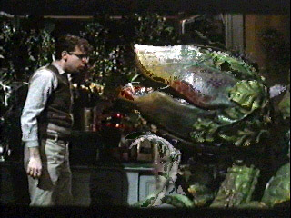 Seymour and Audrey II