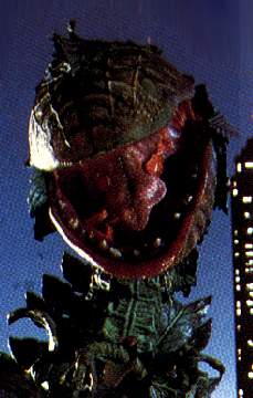 Audrey II