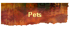 Pets