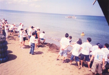 tug-of-war