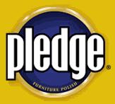 Pledge is the preferred polish of Short-Changed Entertainment, Inc. Arena