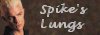 What Ryhmes With Lungs? 