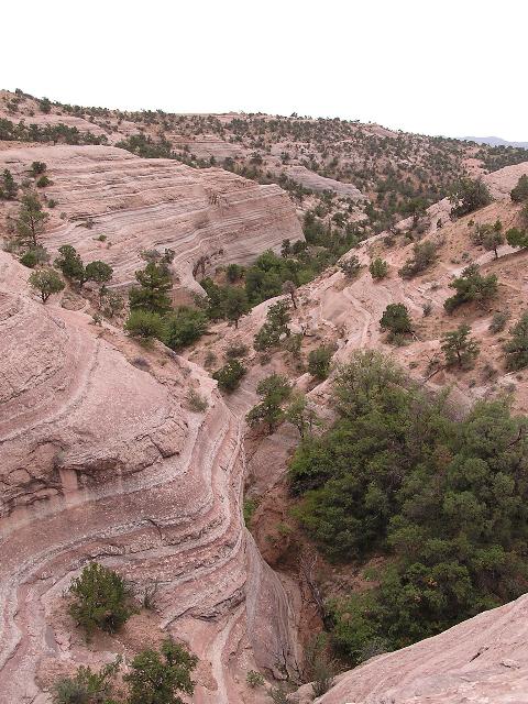 The trail comes up this sandstone canyon
