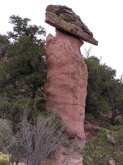 This rock reminds me of a duck's head