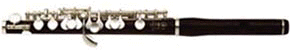 piccolo.gif - 8154 Bytes