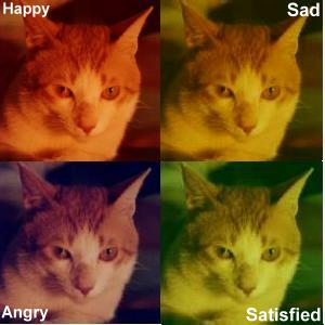 �p�̪��U�ت���