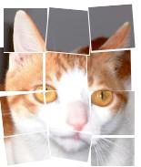 ���ꪺ�j�Y��