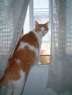 ���f�䪺�p�̦�