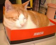 ���G�־c�N����