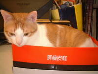 ���G�־c���e��