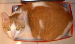 ���G�־c���W��