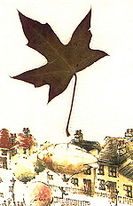 �b�q���x�B�_���@������