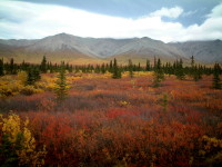 Mountains in Denali