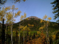 Taiga Trail of Denali
