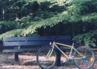 Bike in the woods
