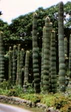 �V�ʦX���餧�P�H�x