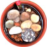 �j�s�����R���Y