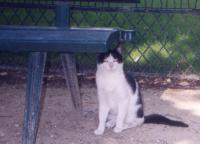 �t���|�᭱���k���