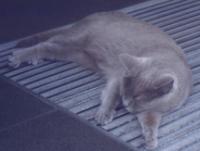 �Φb�������᪺��