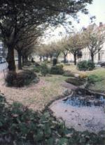 Gent - Flowering road