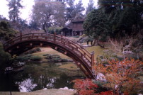 Japansese Garden