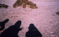 Salt Creek & Our Shadows