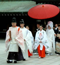 ���v���c�馡�B§