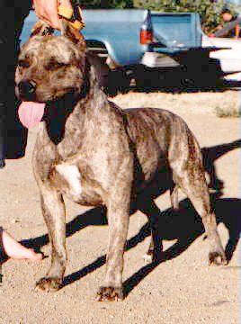 bemy.jpg (90816 bytes)