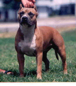 cleo.bmp (78694 bytes)