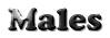 malelo.jpg (1234 bytes)