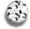 speclbut.jpg (883 bytes)