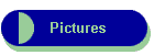 Pictures
