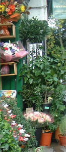 florists shop