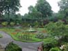 floral garden