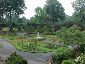 flower beds in summer