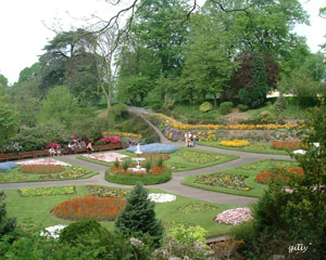 summer flower beds