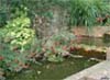 water feature