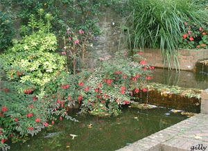 water feature