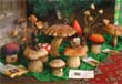 wooden toadstools