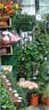 florist shop