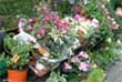 florist shop