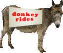 Dom Key