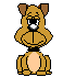 This is my Dingo Daniel.