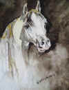 Ihorse2.jpg (81822 bytes)