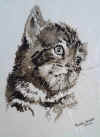 Ikitten.jpg (80436 bytes)