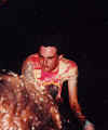 pic9.jpg (20038 bytes)