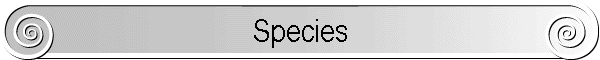 Species