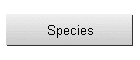 Species